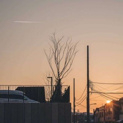 澳门一码一肖一特一中app下载